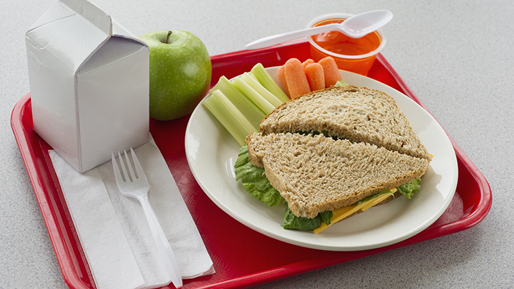 healthy School lunch on a red tray